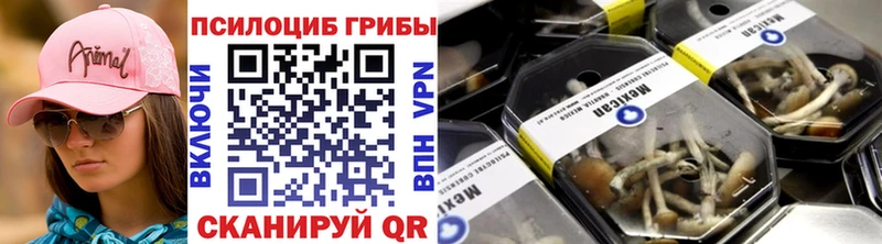Галлюциногенные грибы Psilocybe  Бавлы 